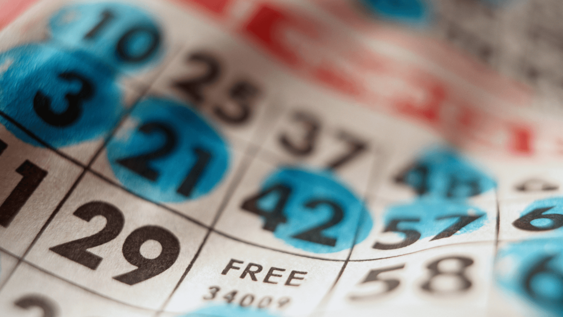 Everything About Online Bingo Cards and Calls image